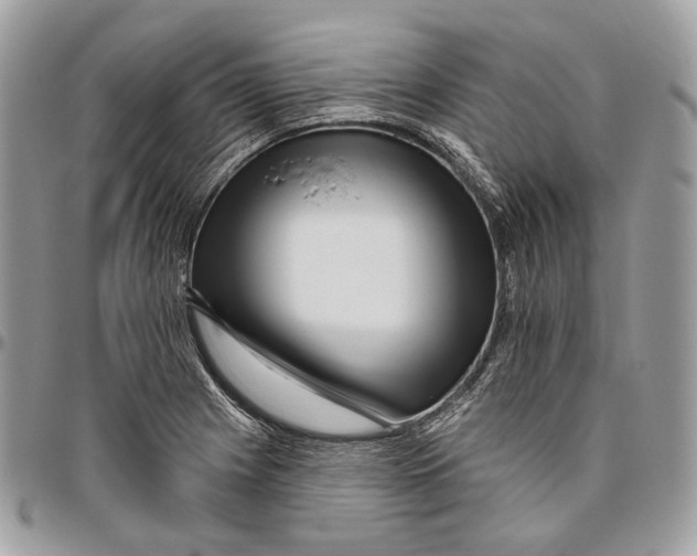 X0000095901225200802081132