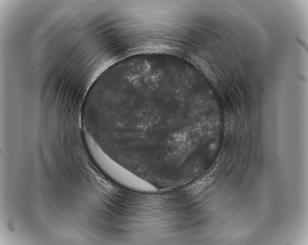 X0000095901226200802081132