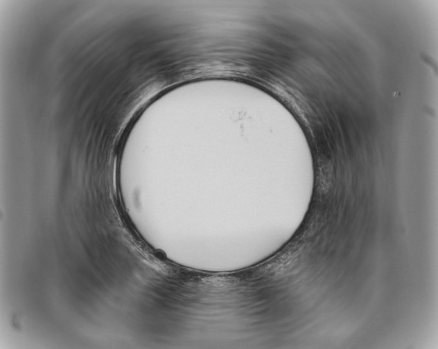 X0000095901227200802081133