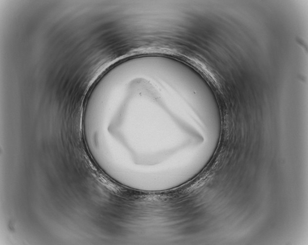 X0000095901228200802081133