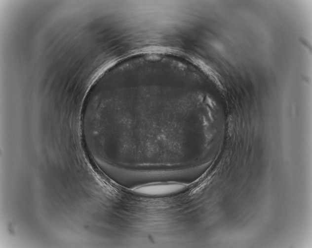 X0000095901229200802081133