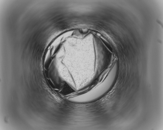 X0000095901230200802081133