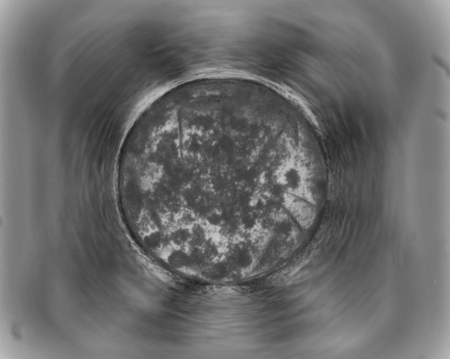 X0000095901231200802081133