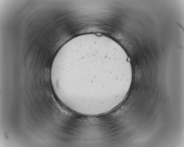 X0000095901233200802081133