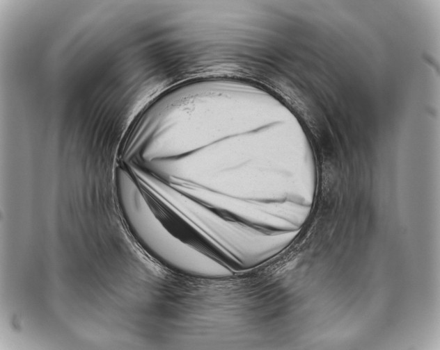 X0000095901234200802081133