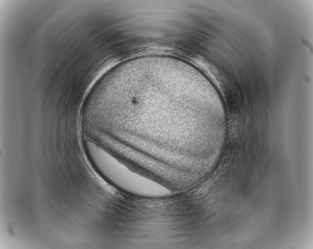 X0000095901235200802081133