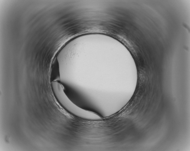 X0000095901236200802081133