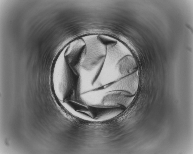 X0000095901237200802081133