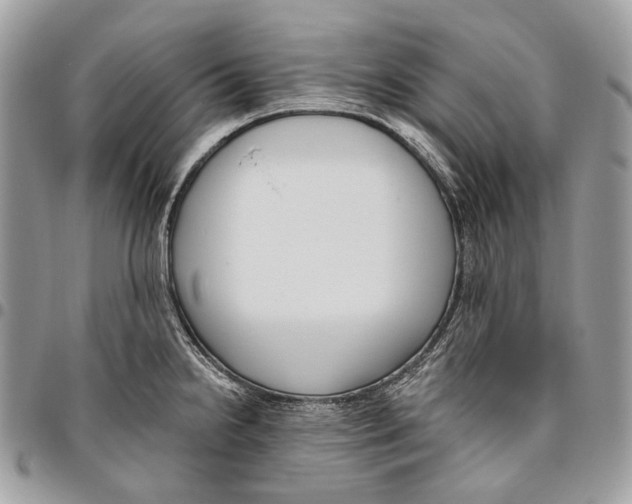 X0000095901238200802081133