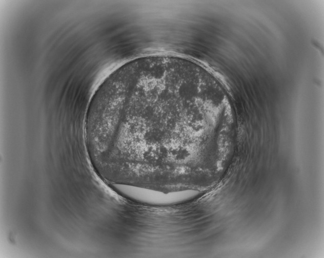 X0000095901239200802081133