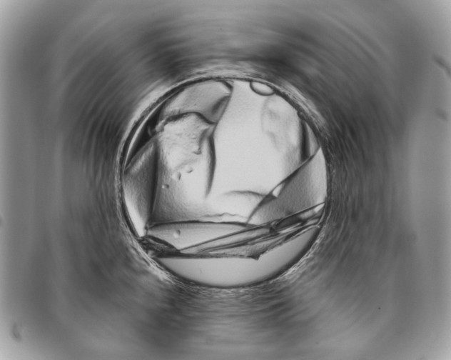 X0000095901240200802081133