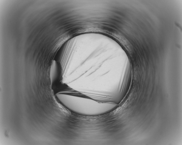 X0000095901241200802081133