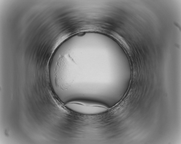 X0000095901242200802081133