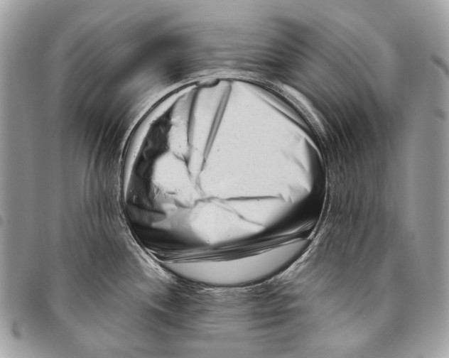 X0000095901244200802081133