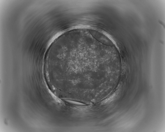 X0000095901245200802081133