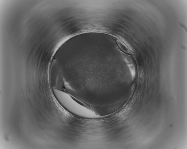 X0000095901246200802081133