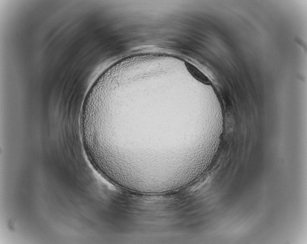 X0000095901247200802081133