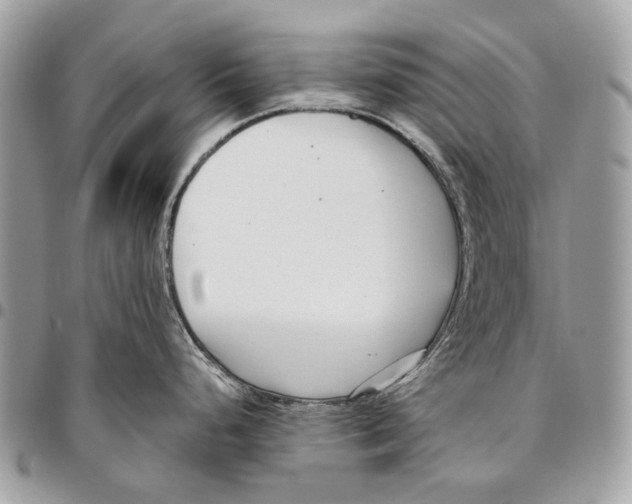 X0000095901248200802081133