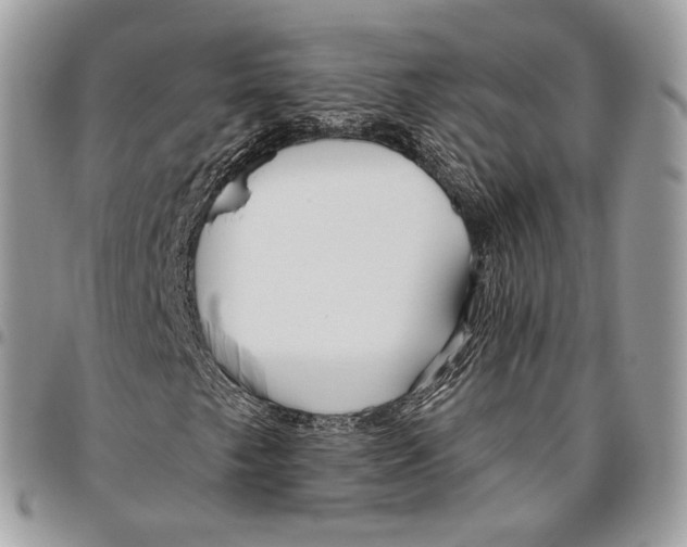 X0000095901249200802081132