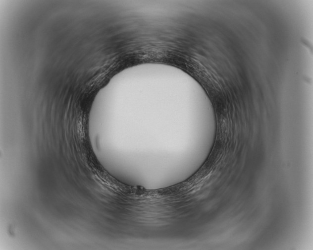 X0000095901250200802081132