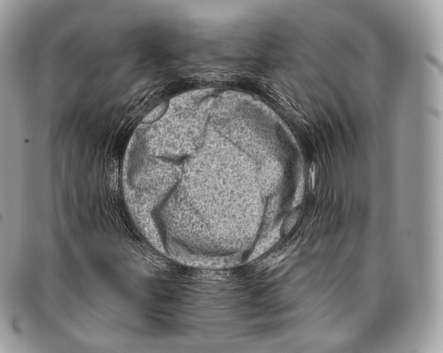 X0000095901251200802081132