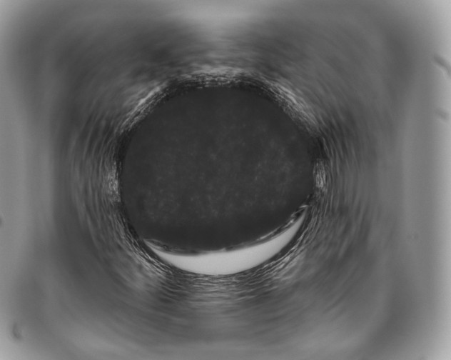 X0000095901252200802081132