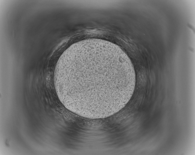 X0000095901254200802081132