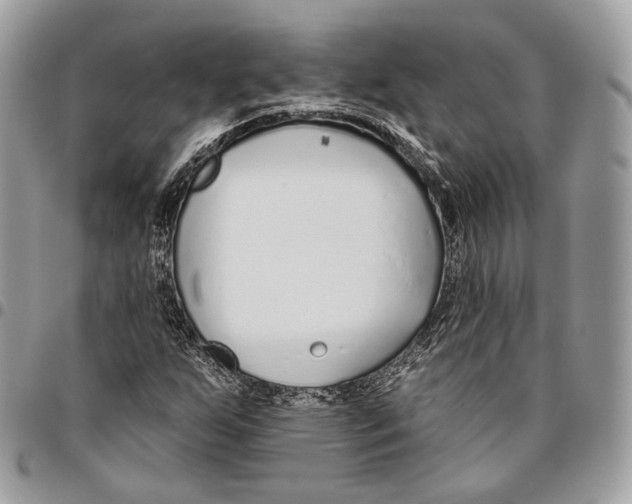 X0000095901255200802081132