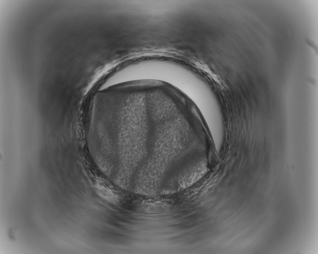 X0000095901256200802081132