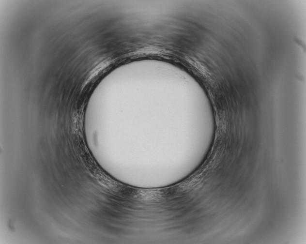 X0000095901258200802081132