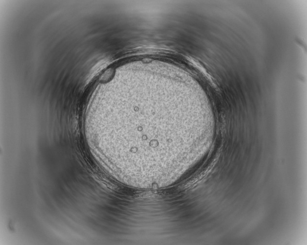 X0000095901259200802081132