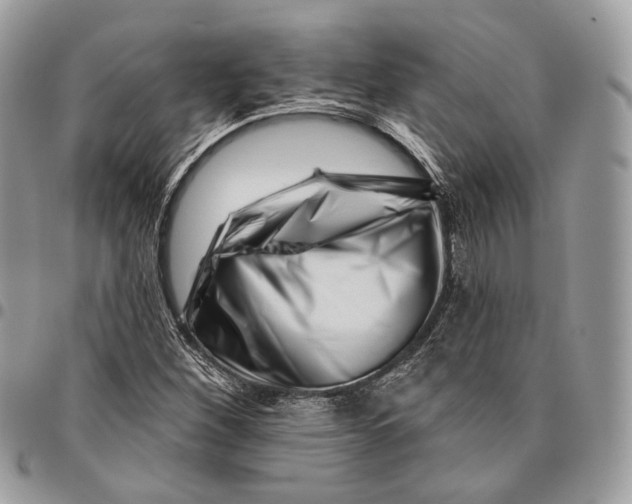 X0000095901260200802081132