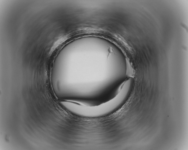 X0000095901261200802081132