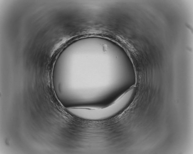 X0000095901262200802081132