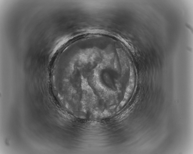 X0000095901263200802081132