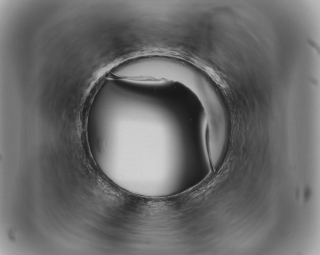 X0000095901264200802081132