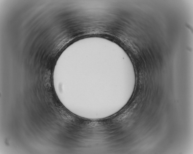 X0000095901265200802081132