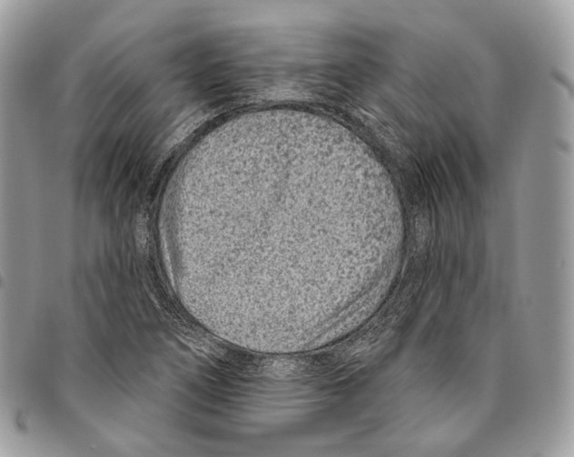 X0000095901266200802081132