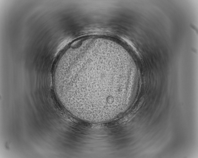 X0000095901267200802081132