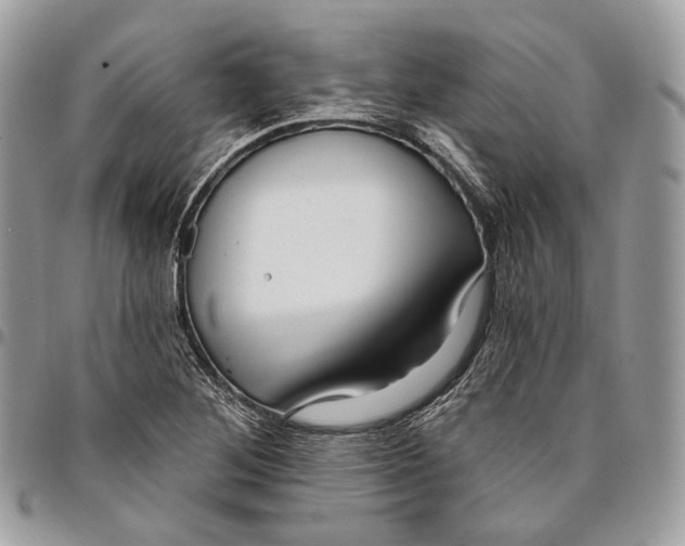 X0000095901268200802081132