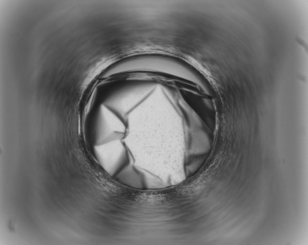 X0000095901269200802081132