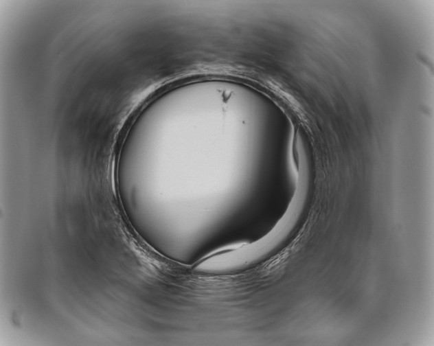 X0000095901272200802081132