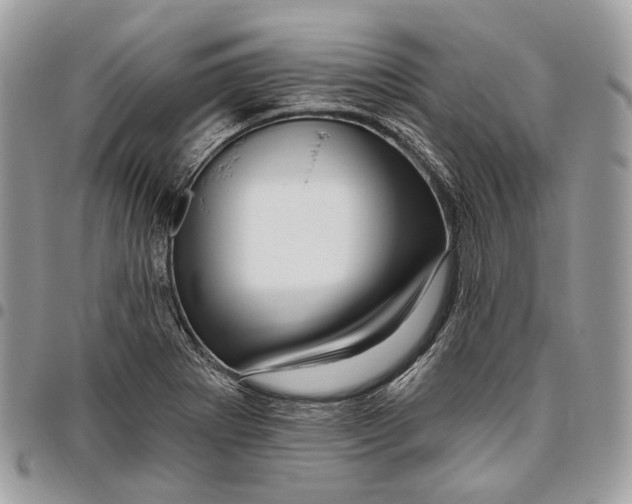 X0000095901273200802081132