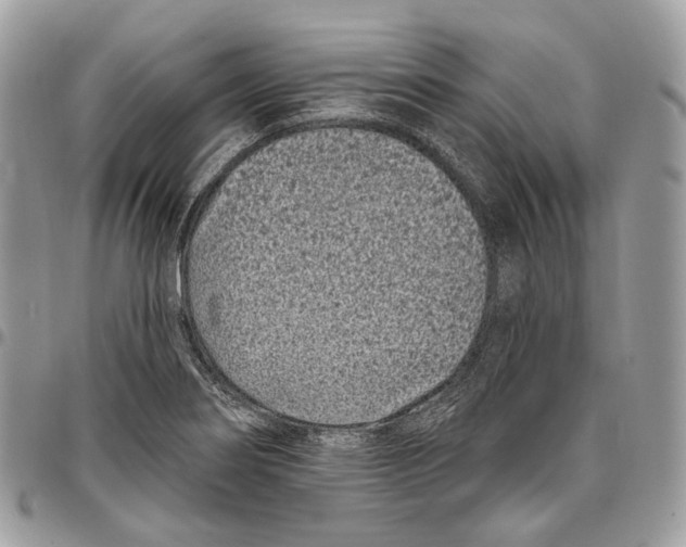 X0000095901274200802081132