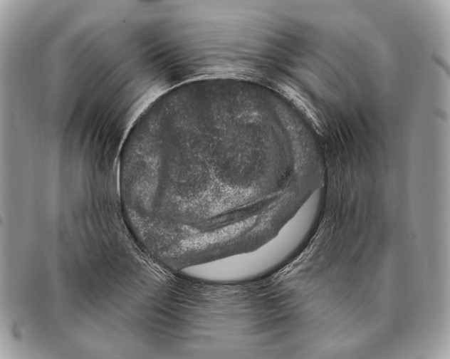 X0000095901275200802081132