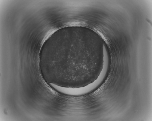 X0000095901277200802081132