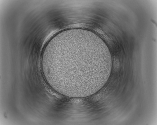 X0000095901278200802081132