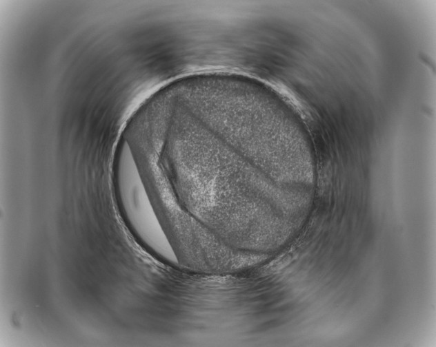 X0000095901279200802081132