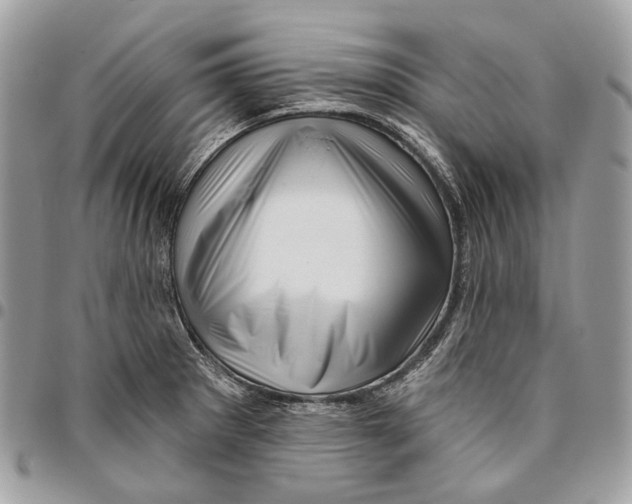 X0000095901281200802081132