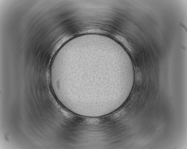 X0000095901282200802081132